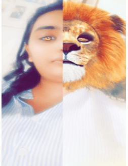 Lion by Snapchat 